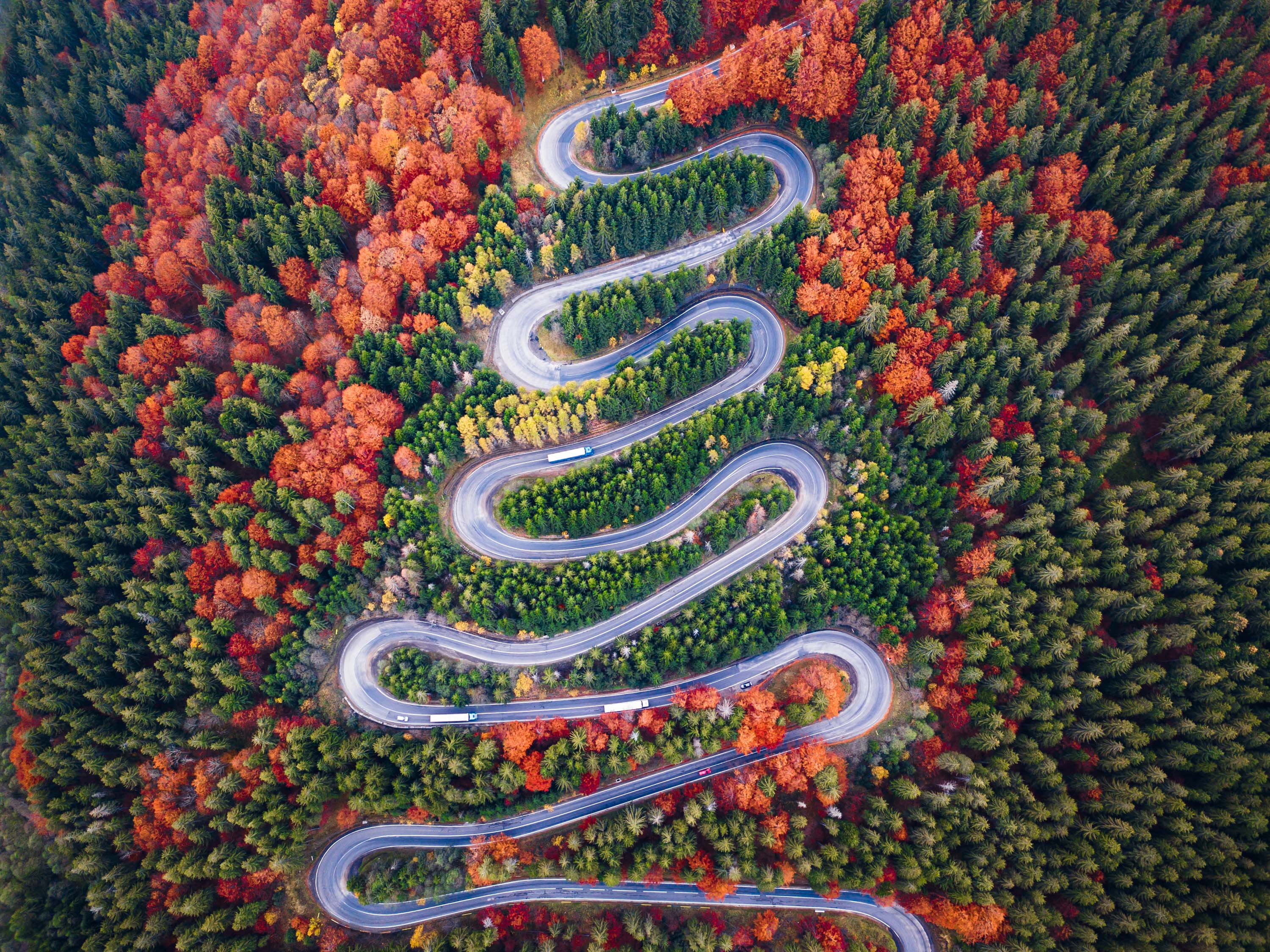 The Science Of Driving: Gender, Skills, And Stereotypes - 50roozs